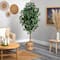 6ft. Ficus Artificial Tree with Natural Trunk in Handmade Natural Jute Planter with Tassels